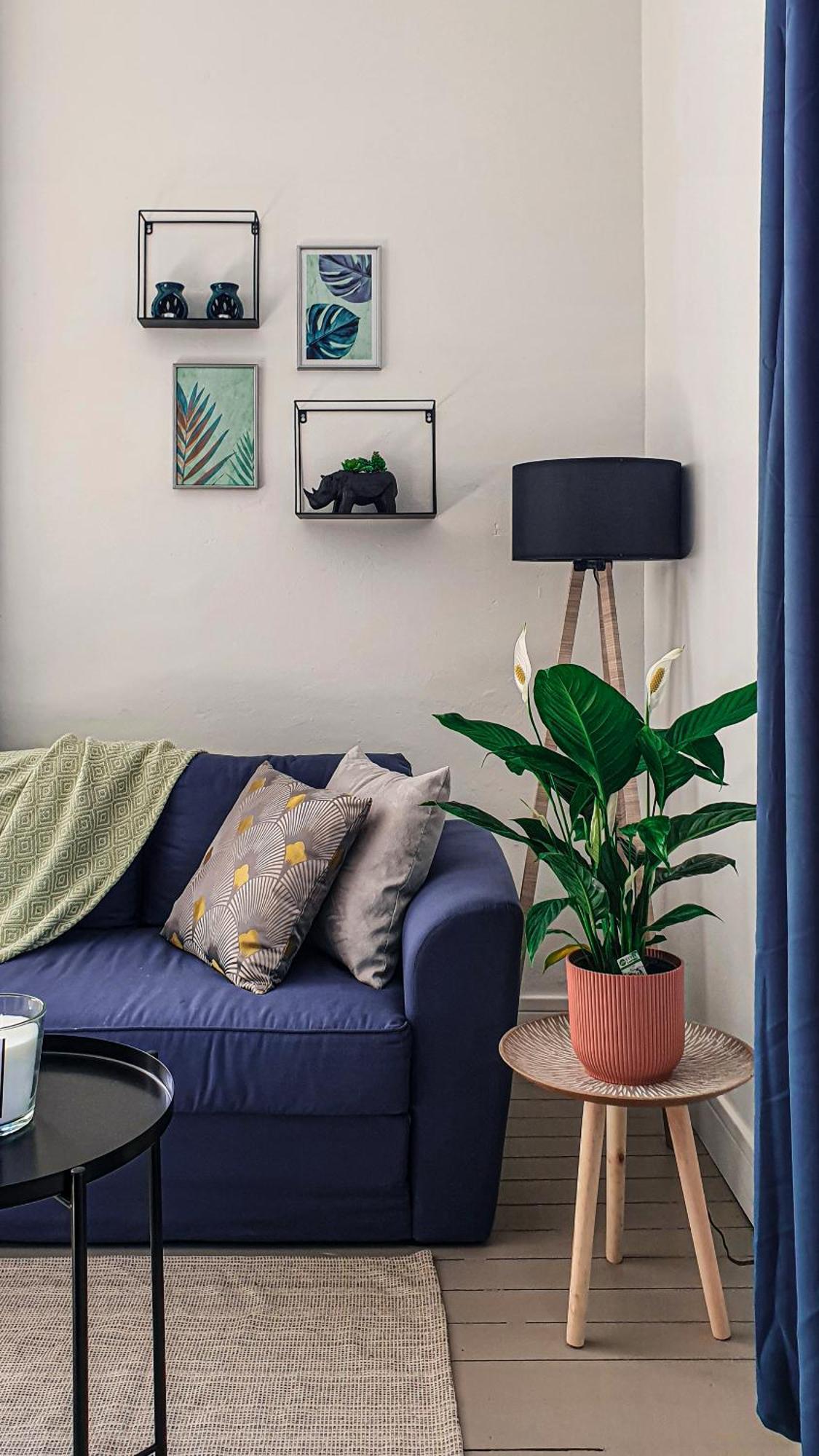 Charming Studio With View Of The Abbaye-Aux-Hommes カーン 部屋 写真
